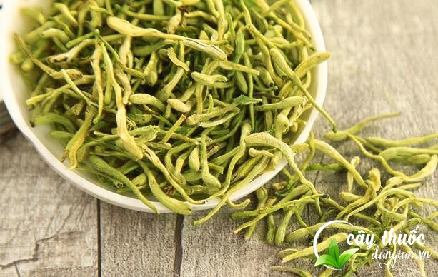 hoa-kim-ngan-tri-viem-xoang-nhu-the-nao